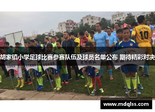 胡家镇小学足球比赛参赛队伍及球员名单公布 期待精彩对决