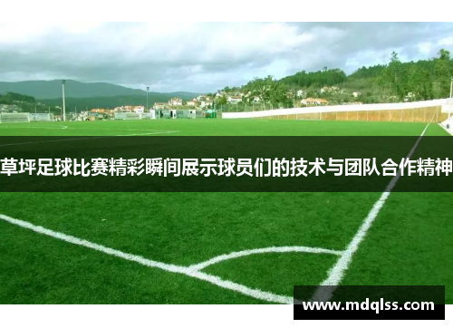 草坪足球比赛精彩瞬间展示球员们的技术与团队合作精神